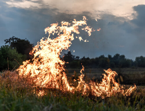 En marcha el Plan Municipal de Prevención de Incendios