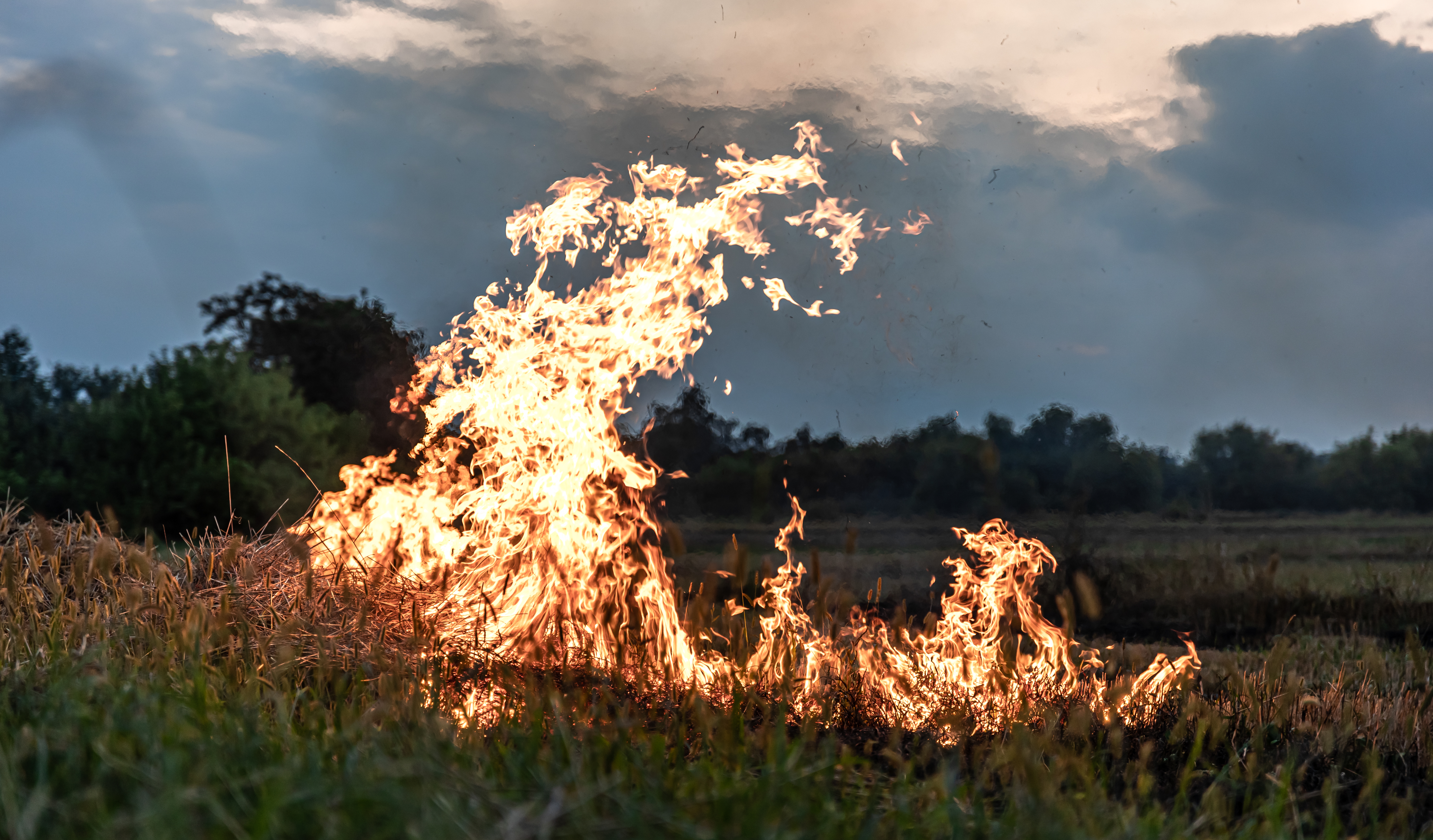 Imagen de fuego en zona de campo