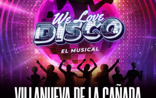 Cartel "We love disco".