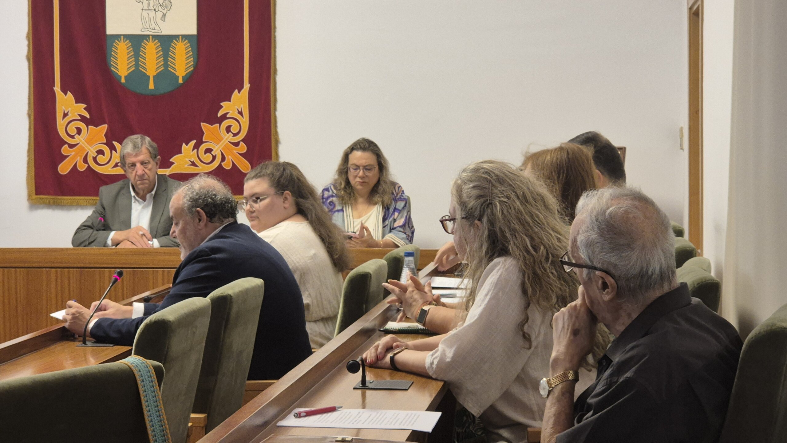 Autoridades durante el Pleno.