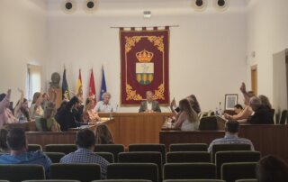 Votación durante la sesión del Pleno.