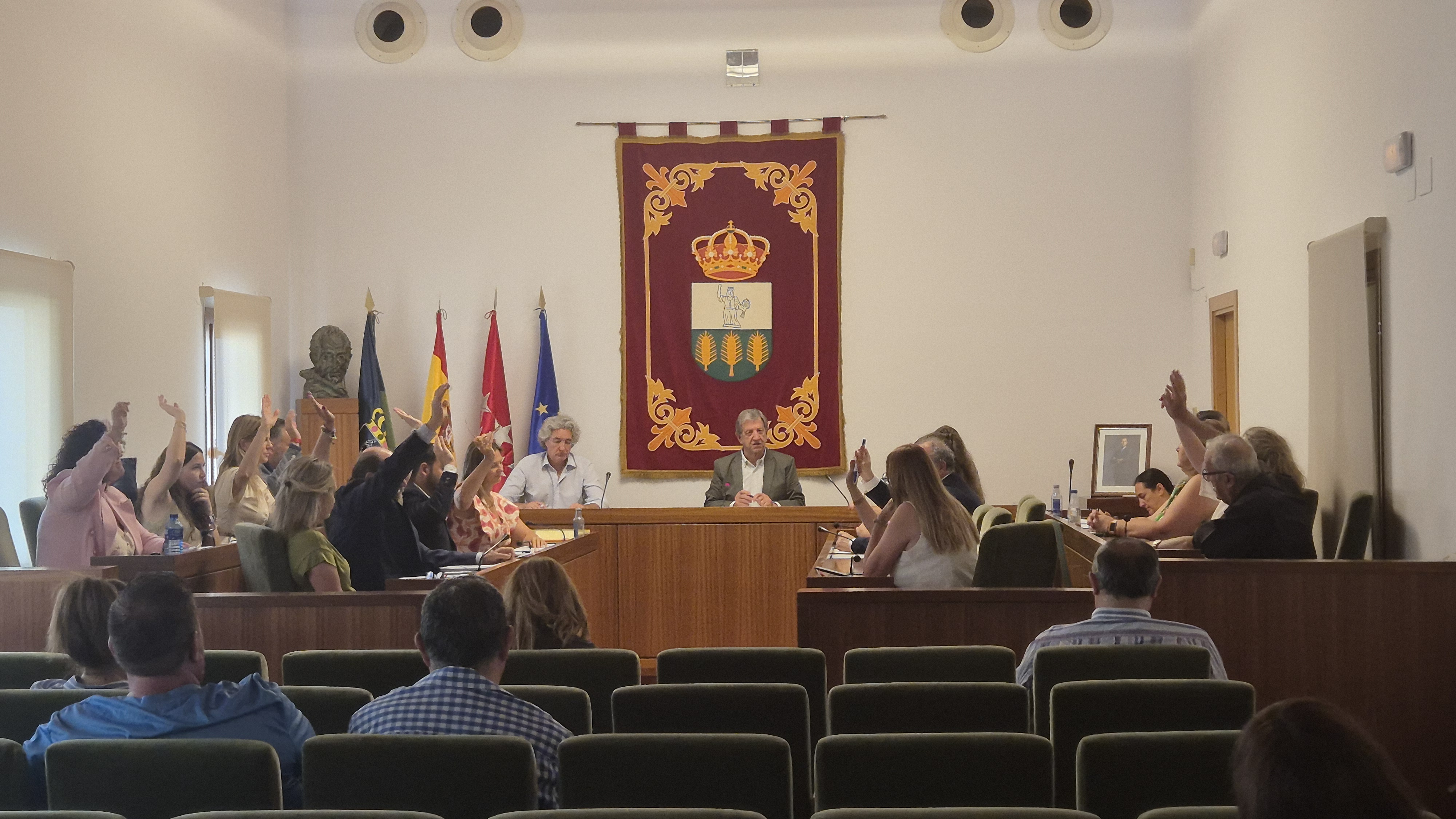 Votación durante la sesión del Pleno.