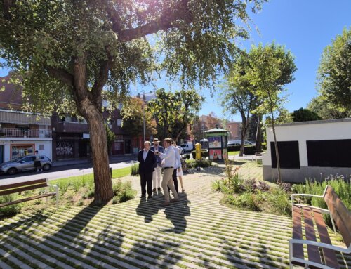 Abre al público la nueva zona estancial ajardinada de la calle Real
