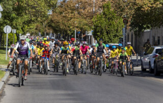 Celebración de la 'XXXVII Fiesta de la Bicicleta'.