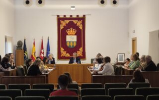 Imagen de la sesión del Pleno.